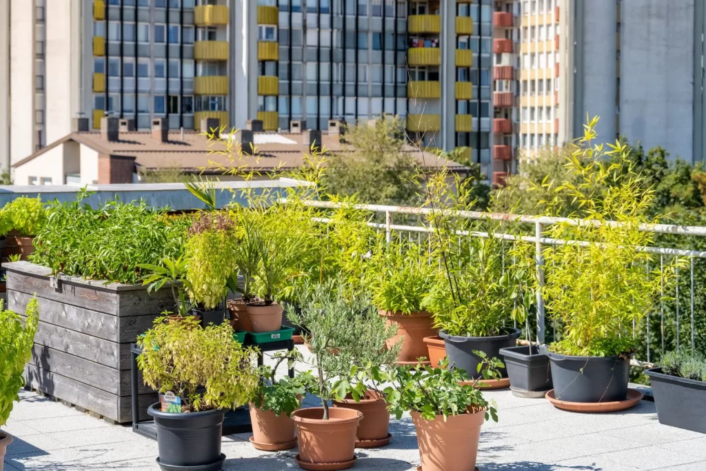 Rooftop Jardin Toit vegetalise Rooftop Jardin - Toit végétalisé