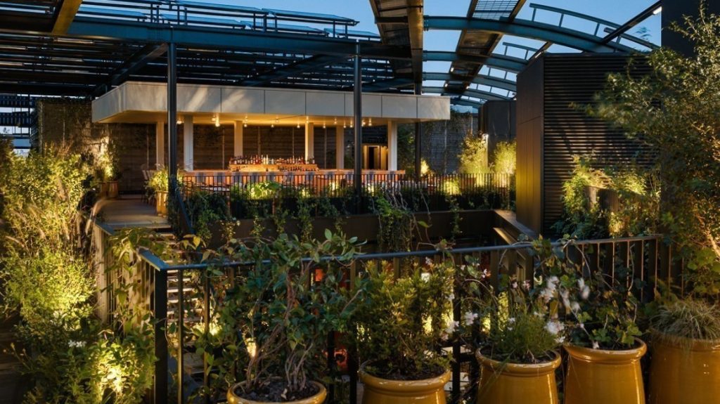 Rooftop Bar Roof Rooftop Bar Roof